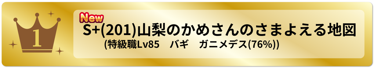 山梨のかめさんのさまよえる地図