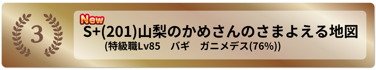 山梨のかめさんのさまよえる地図