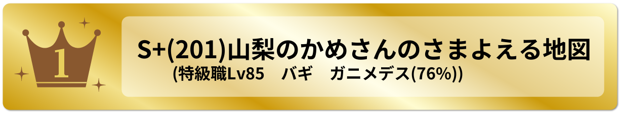 山梨のかめさんのさまよえる地図